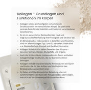 Kollagen Balance - 1 Monats Packung