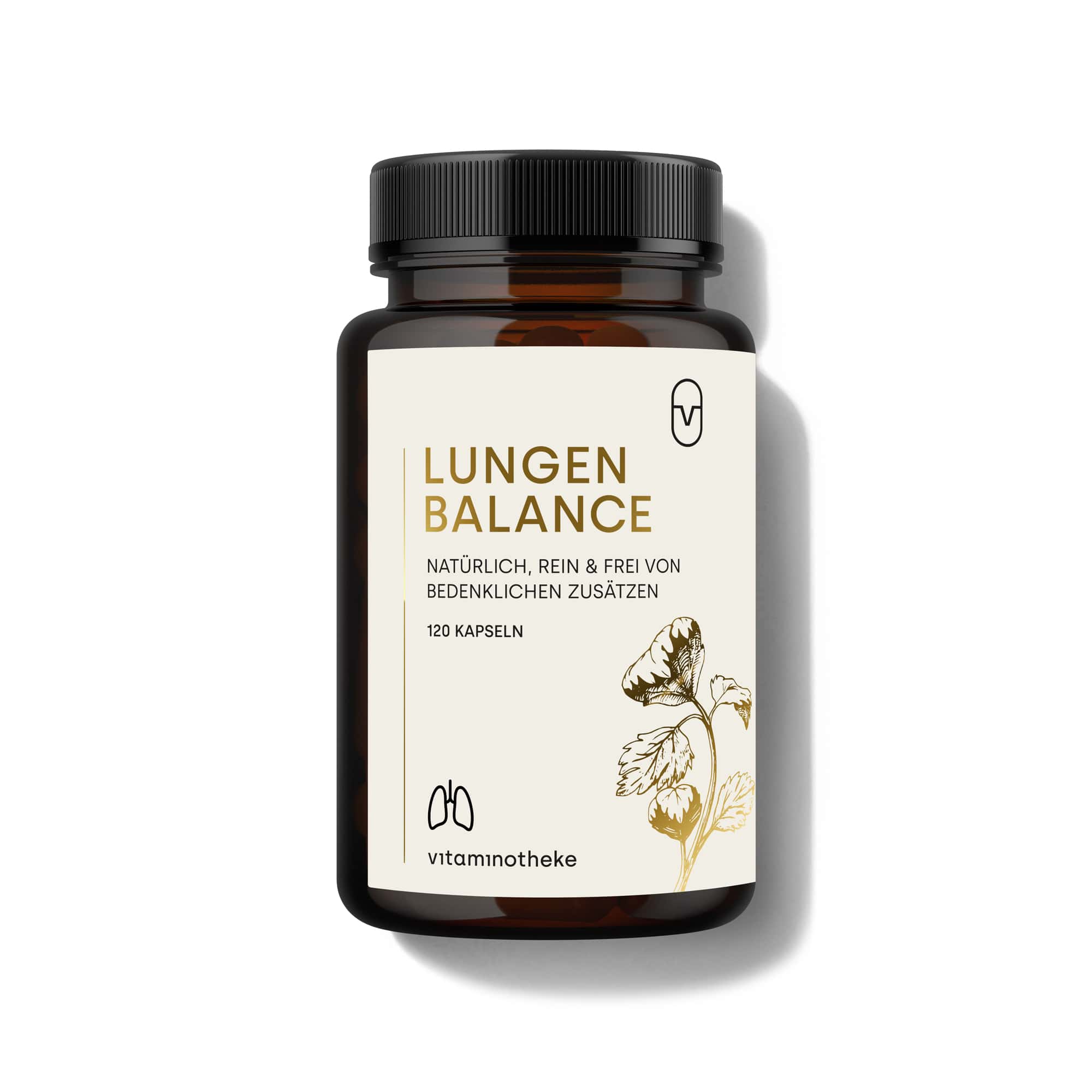 lungenbalancebild1-min.jpg