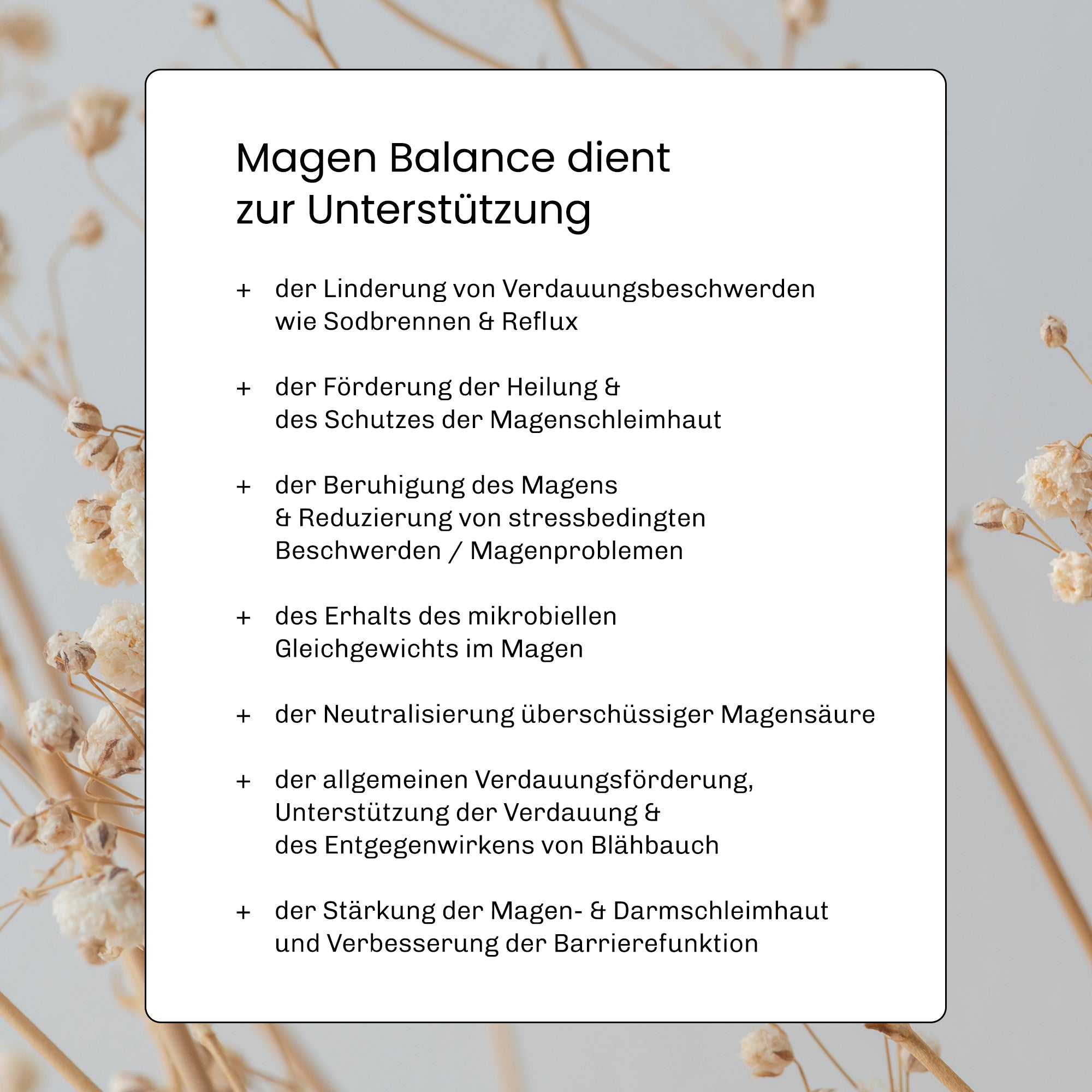 Magen Balance - 120 Kapseln 1 Monats Packung